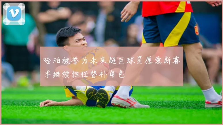 哈珀被誉为未来超巨球员愿意新赛季继续担任替补角色