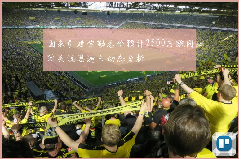 国米引进索勒总价预计2500万欧同时关注恩迪卡动态分析